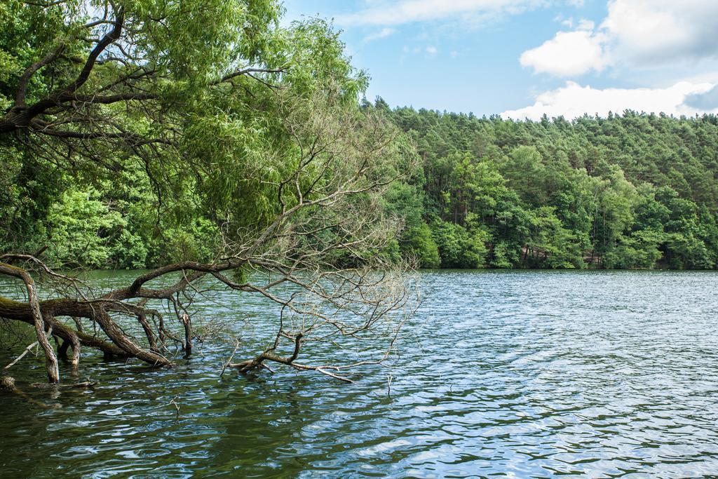 Waldsee Hotel am Wirchensee Treppeln Buitenkant foto